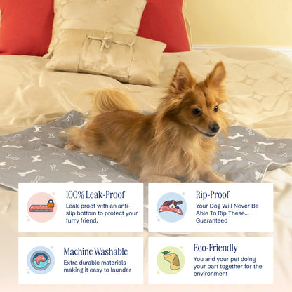 FurFresh™ Premium Washable Pet Pee Pads | 2 Pack